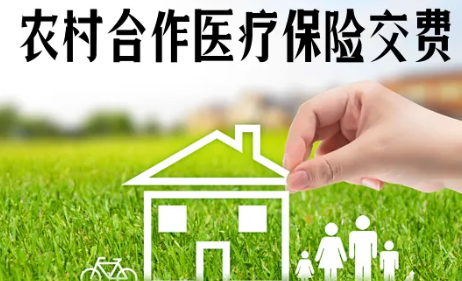 农村合作医疗怎么网上缴费(农村合作医疗怎么网上缴费微信)