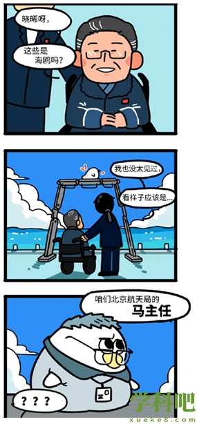 《抖音》马兆海鸥梗的意思介绍
