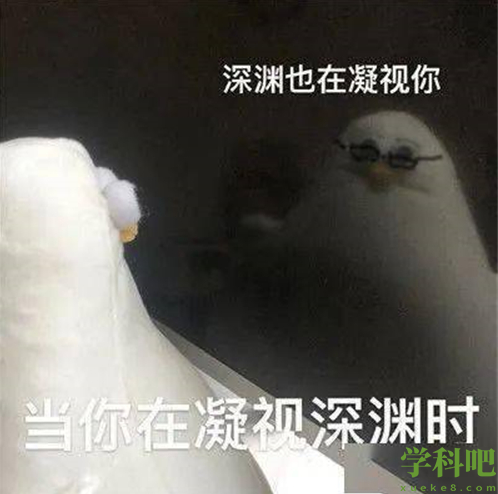 《抖音》马兆海鸥的表情包分享