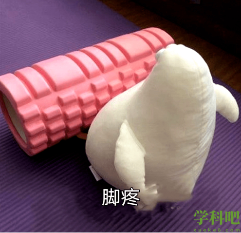 《抖音》马兆海鸥的表情包分享