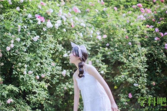 大菠萝app福引导前往welcome破解版已恢复，BT中文目前正抢修