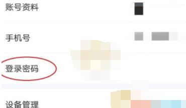 爱奇艺极速版登录密码怎么修改 爱奇艺极速版登录密码修改方法