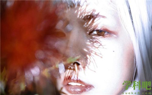 欧洲vodafonewifi18√k老狼完整版入口完全开启!网友:没有限制了!