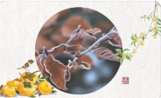 霜降节气的含义是什么(霜降祝福语)