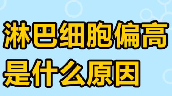 淋巴细胞百分比偏高(淋巴细胞百分比偏高什么意思)