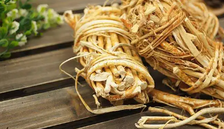 五指毛桃的功效与作用(五指毛桃和土茯苓泡水喝的功效)