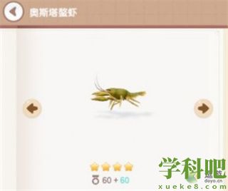 心动小镇鳌虾钓取位置一览
