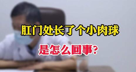 肛门口有个肉球突出是怎么回事(孕妇肛门口有个肉球突出怎么办)