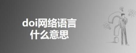 DOI网络语言什么意思(网络省略用语什么意思)