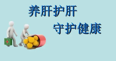养肝护肝吃什么(养肝护肝吃什么食物和水果)