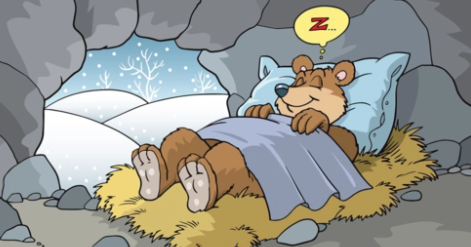 冬眠的动物有哪些(冬眠的动物有哪些?)