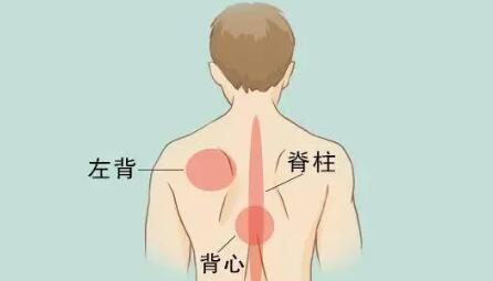 后背疼痛要警惕的三种病(老年人突然后背疼痛)