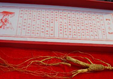 人参每斤多少钱(每斤多少钱怎么表示)