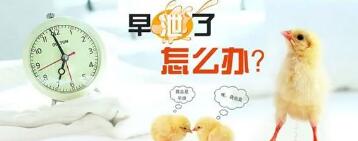 怎么判断自己早迣(怎么判断自己早迣是那种)