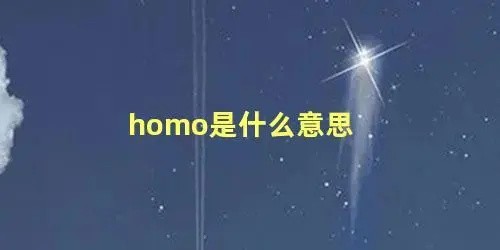 homo是什么意思(homo是什么意思网络)