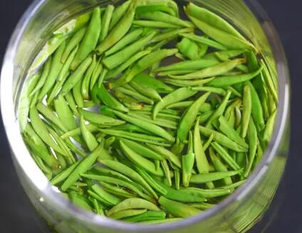 雀舌属于什么茶类(金坛雀舌属于什么茶)