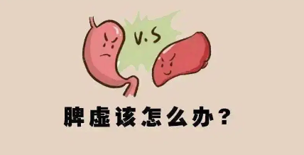 脾胃虚弱怎么调理最快(脾胃虚弱怎么调理最快有效)