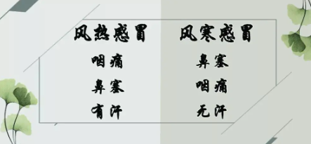 风热感冒和风寒感冒的症状区(风热感冒和风寒感冒的症状区别和治疗)
