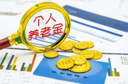 个人养老金业务全流程操作指南(个人养老金业务全流程操作指南解读)