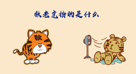 秋老虎是什么意思啊(秋老虎是什么意思啊讲一讲秋分)