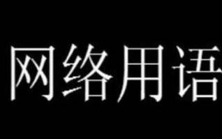 哈基米日语什么意思(はちみ)