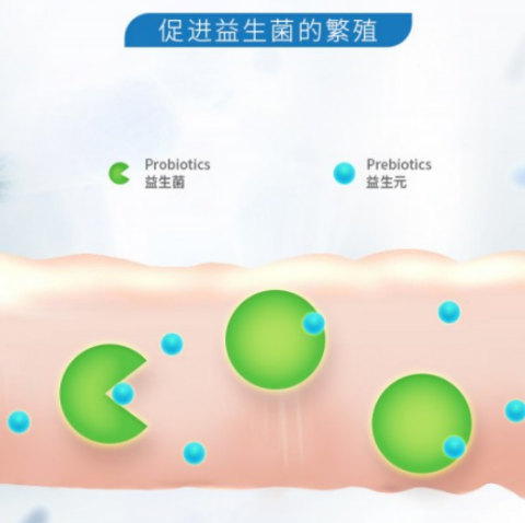 益生菌哪个牌子的最好质量最过关，2023益生菌品牌推荐，益生菌的作用