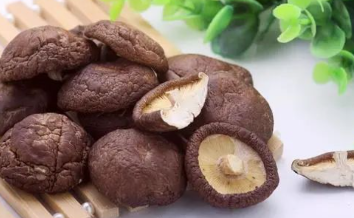 提高免疫力吃什么东西最好，多吃什么食物可以提高身体素质？