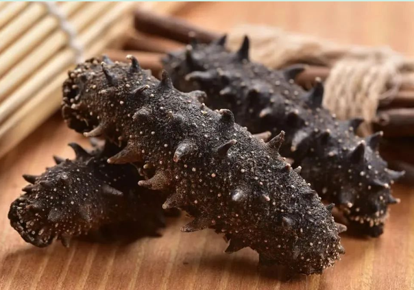 怎么样的海参才是好的，海参的这些鉴别方法你知道吗？