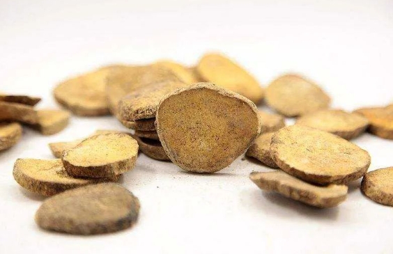 泽泻的功效与作用，泽泻的药材的价值
