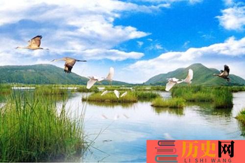 湿地公约是什么