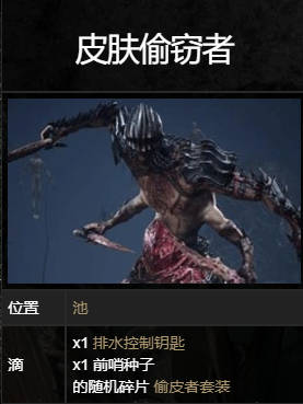堕落之主BOSS盗皮者怎么打(堕落者任务怎么做)