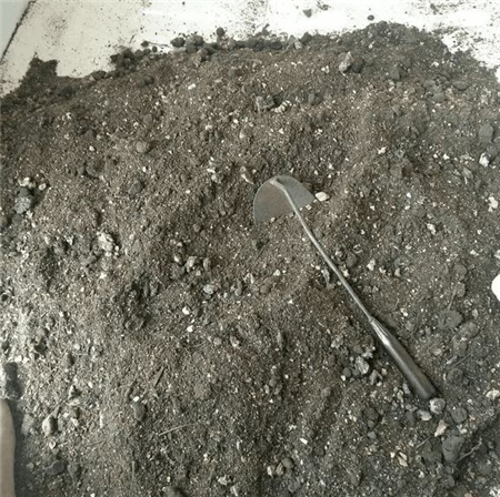 铜钱草观赏价值
