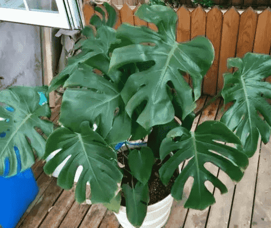 屋里屋外都是雾霾