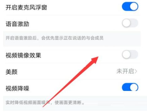 钉钉视频可以镜像吗