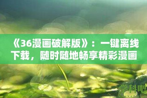 《36漫画破解版》：一键离线下载，随时随地畅享精彩漫画！