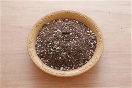 扦插要用到哪些工具
