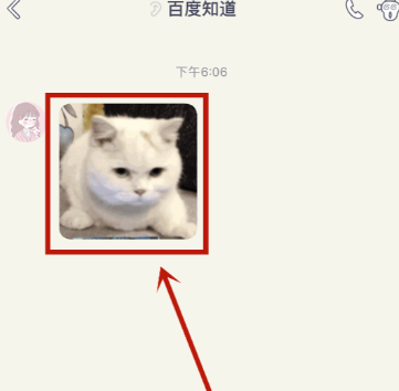 动感相册能导出来吗
