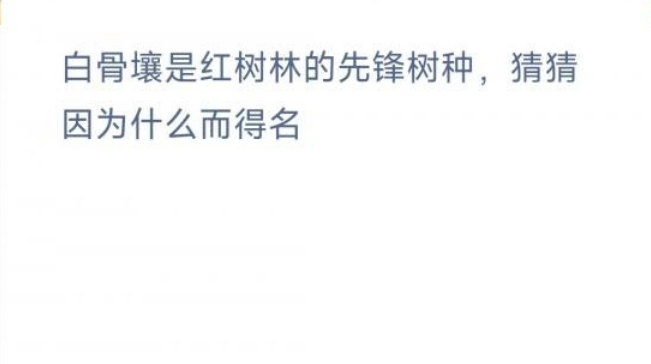 白骨壤果实有什么药用功效