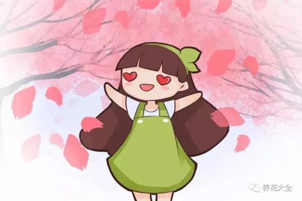 只在春天开放的花