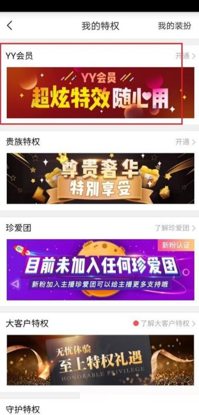 yy开通会员有什么用处