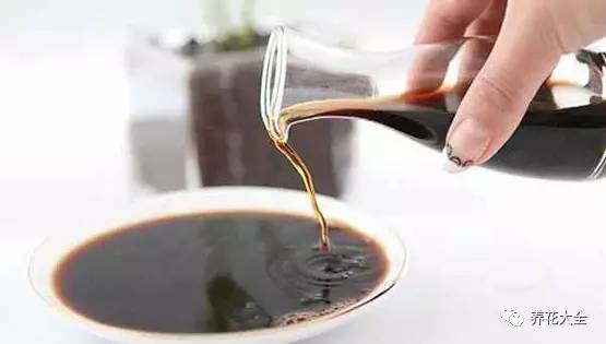 茉莉花 像