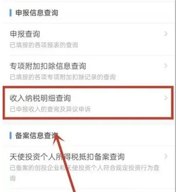 个人所得税怎么查全年收入