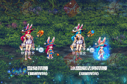 dnf2021年春节礼包宠物外观