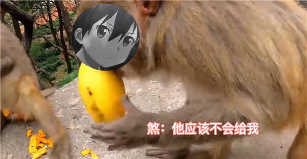故氏是哪里人