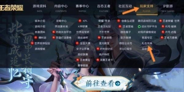王者荣耀兑换码入口位置攻略