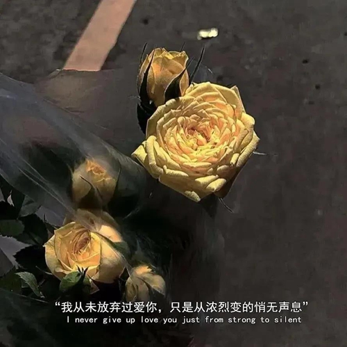 我从未放弃过爱你 只是从浓烈变得悄无声息